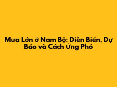 Mưa Lớn ở Nam Bộ: Diễn Biến, Dự Báo và Cách Ứng Phó