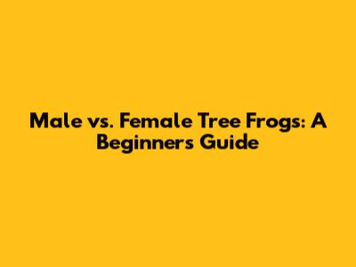 Male vs. Female Tree Frogs: A Beginner's Guide