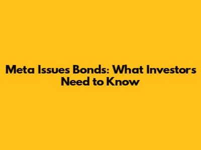 Meta Issues Bonds: What Investors Need to Know