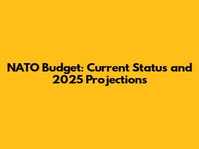 NATO Budget: Current Status and 2025 Projections