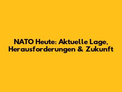 NATO Heute: Aktuelle Lage, Herausforderungen & Zukunft