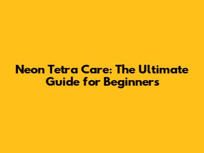 Neon Tetra Care: The Ultimate Guide for Beginners