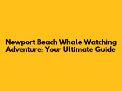 Newport Beach Whale Watching Adventure: Your Ultimate Guide