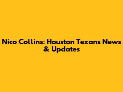 Nico Collins: Houston Texans News & Updates
