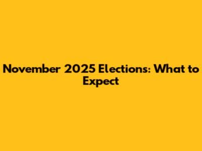 November 2025 Elections: What to Expect