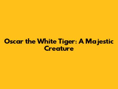 Oscar the White Tiger: A Majestic Creature