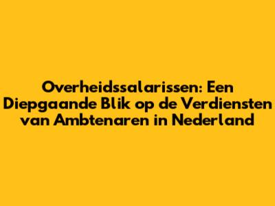 Overheidssalarissen: Een Diepgaande Blik op de Verdiensten van Ambtenaren in Nederland
