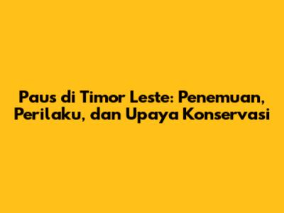 Paus di Timor Leste: Penemuan, Perilaku, dan Upaya Konservasi
