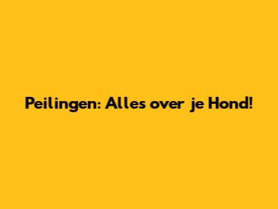 Peilingen: Alles over je Hond!