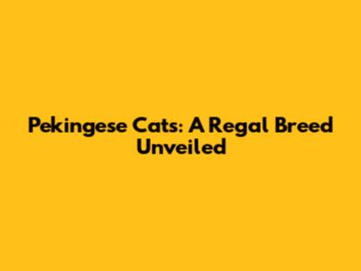 Pekingese Cats: A Regal Breed Unveiled