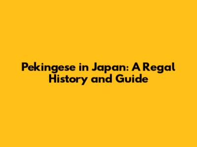 Pekingese in Japan: A Regal History and Guide