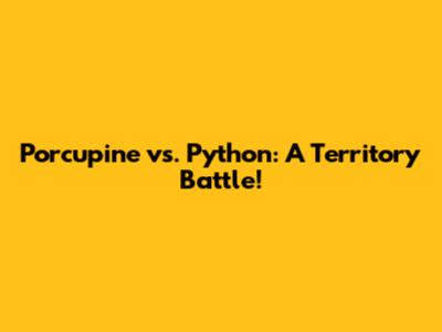 Porcupine vs. Python: A Territory Battle!