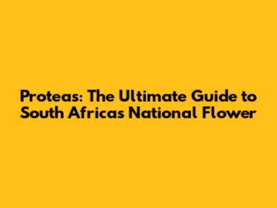 Proteas: The Ultimate Guide to South Africa's National Flower