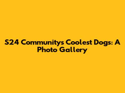 S24 Community's Coolest Dogs: A Photo Gallery
