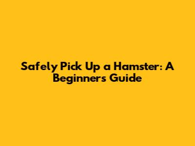 Safely Pick Up a Hamster: A Beginner's Guide