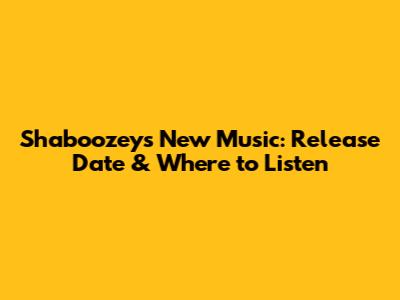 Shaboozey's New Music: Release Date & Where to Listen