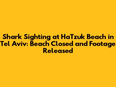 Shark Sighting at HaTzuk Beach in Tel Aviv: Beach Closed and Footage Released