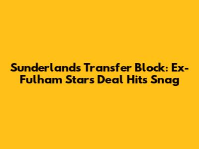Sunderland's Transfer Block: Ex-Fulham Star's Deal Hits Snag