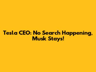 Tesla CEO: No Search Happening, Musk Stays!