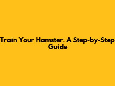 Train Your Hamster: A Step-by-Step Guide