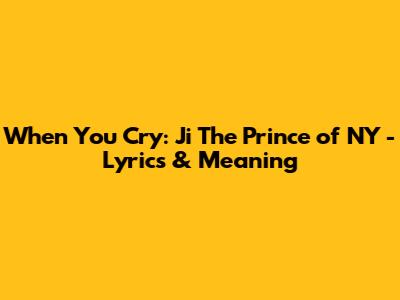 When You Cry: Ji The Prince of NY - Lyrics & Meaning