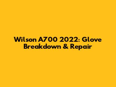 Wilson A700 2022: Glove Breakdown & Repair